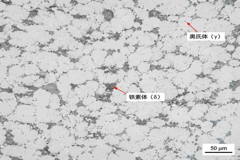 高倍显微镜下显示奥氏体(γ)和铁素体(δ)两相分布，奥氏体呈浅色，铁素体呈深色，比例均衡，标尺50微米，展示材料微观结构特性。